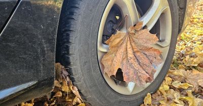 Niebezpieczna jesień na drogach. Jak zwiększyć bezpieczeństwo